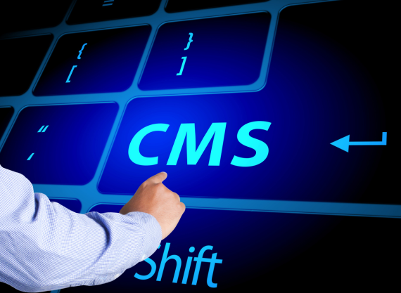 Chicago CMS Development Services