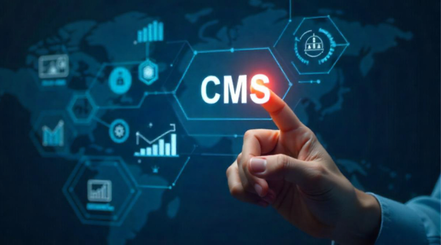 CMS Development